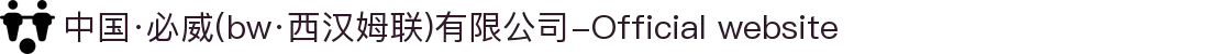 中国·必威(bw·西汉姆联)有限公司-Official website