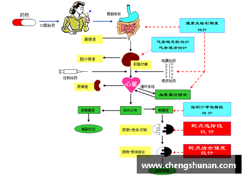 青少年体育俱乐部管理架构设计及优化方案